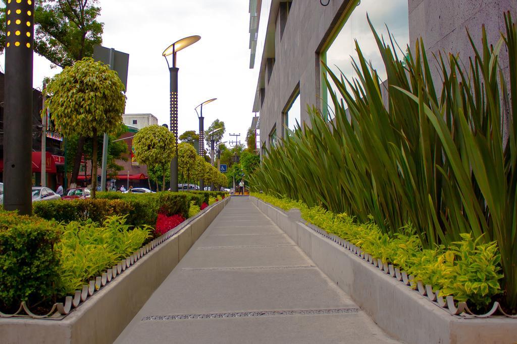 Hotel Novit Mexico City Exterior photo